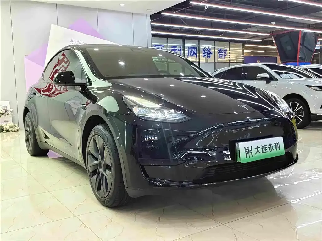 Tesla Model Y — фото 6