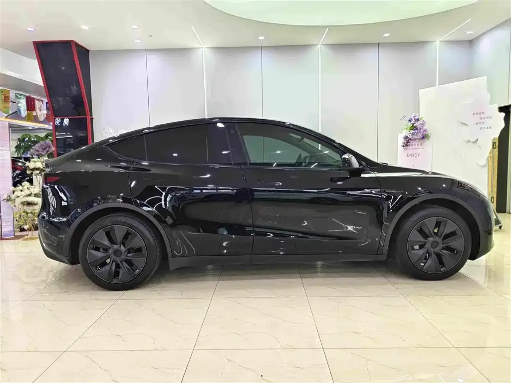 Tesla Model Y — фото 10