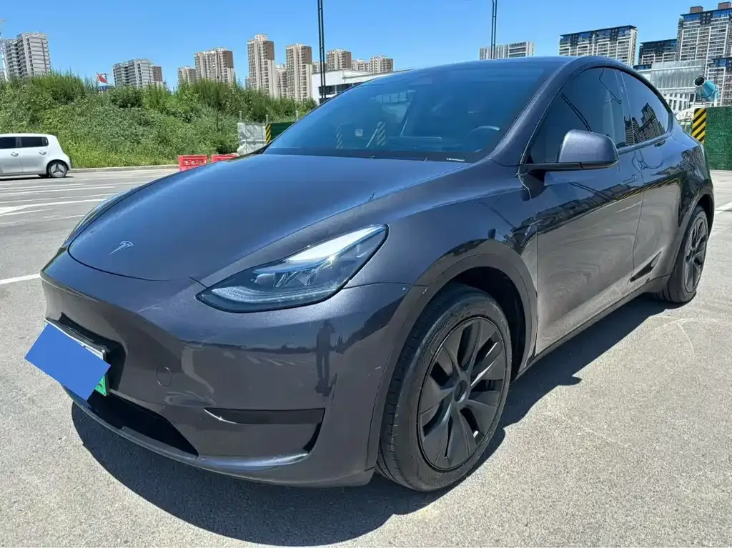Tesla Model Y — фото 1