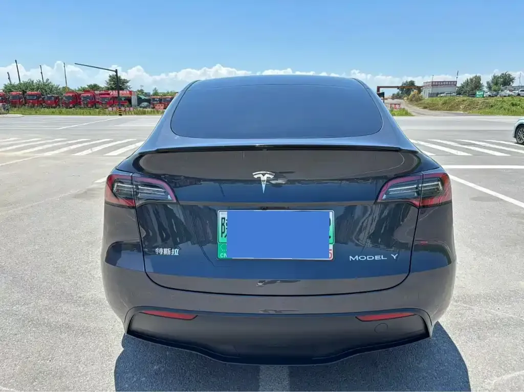 Tesla Model Y — фото 3