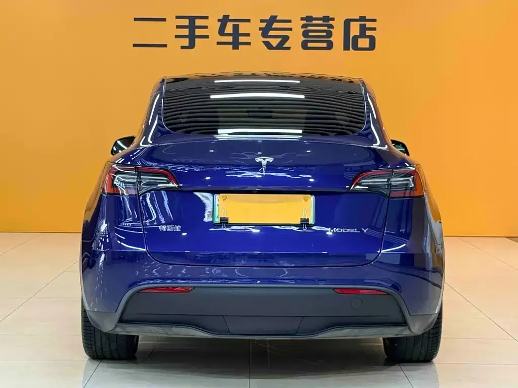 Tesla Model Y — фото 3