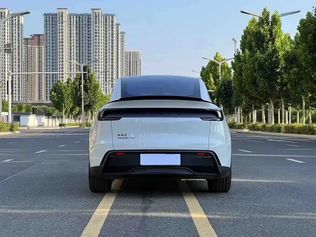 Tesla Model Y L 2026 из CN, фото 8
