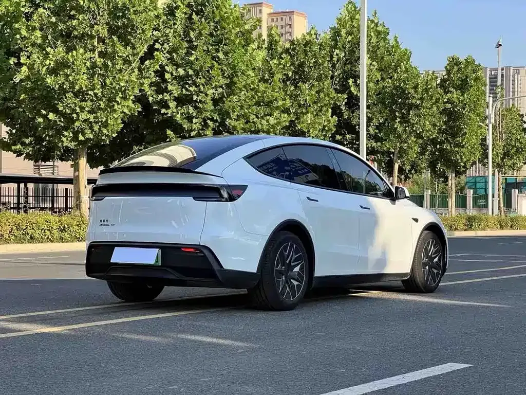 Tesla Model Y L 2026 из CN, фото 9