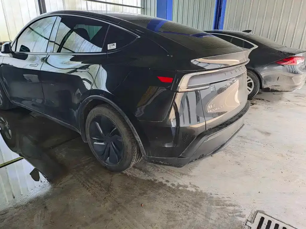 Tesla Model Y — фото 3