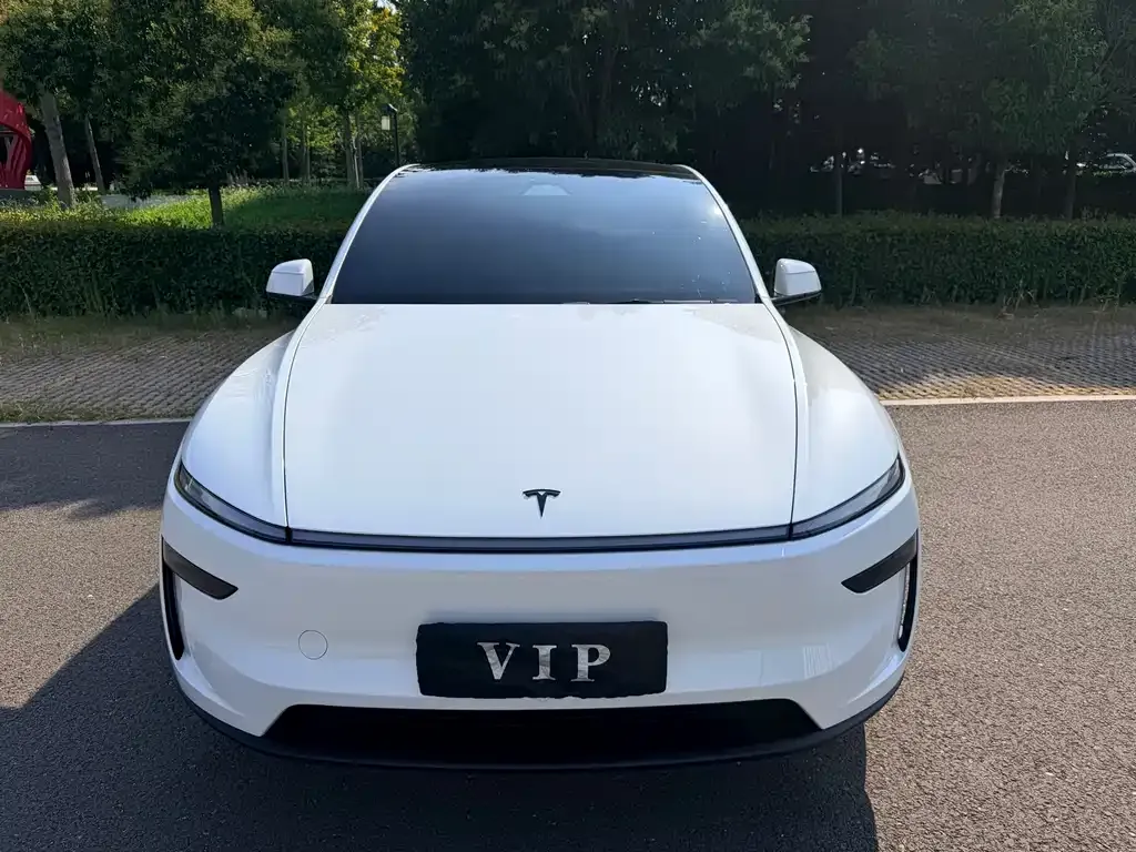 Tesla Model Y — фото 9