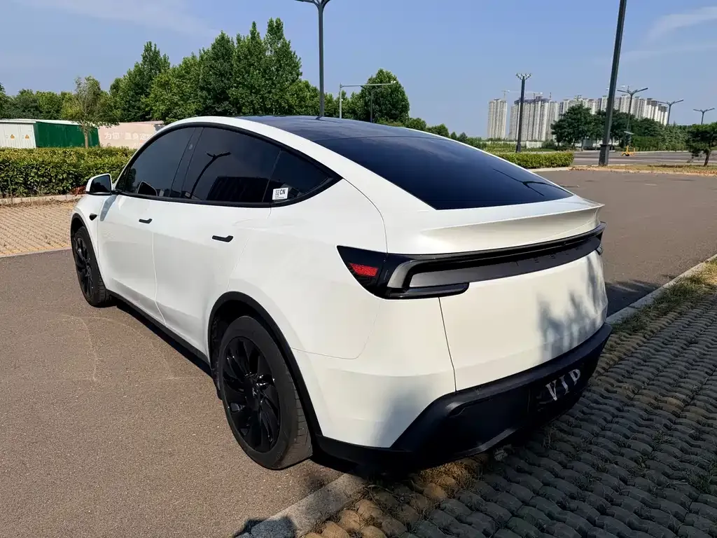 Tesla Model Y — фото 8