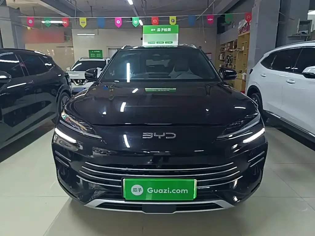 BYD PLUS New Energy — фото 10