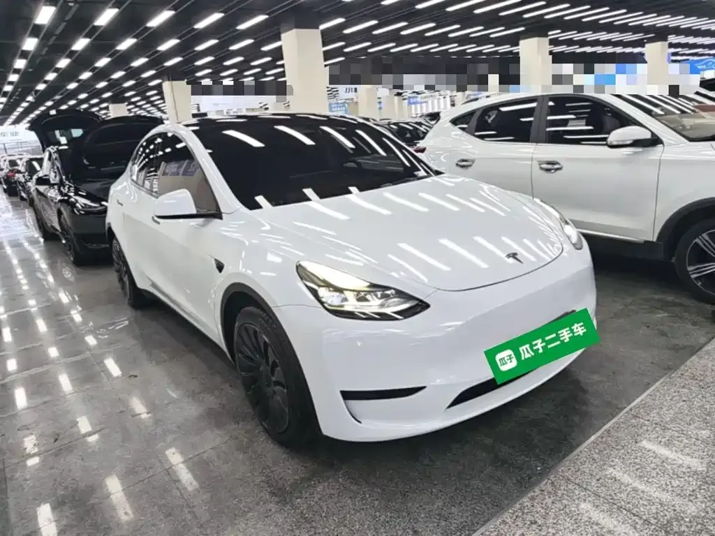 Tesla Model Y — фото 9