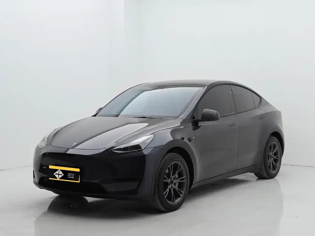 Tesla Model Y — фото 5