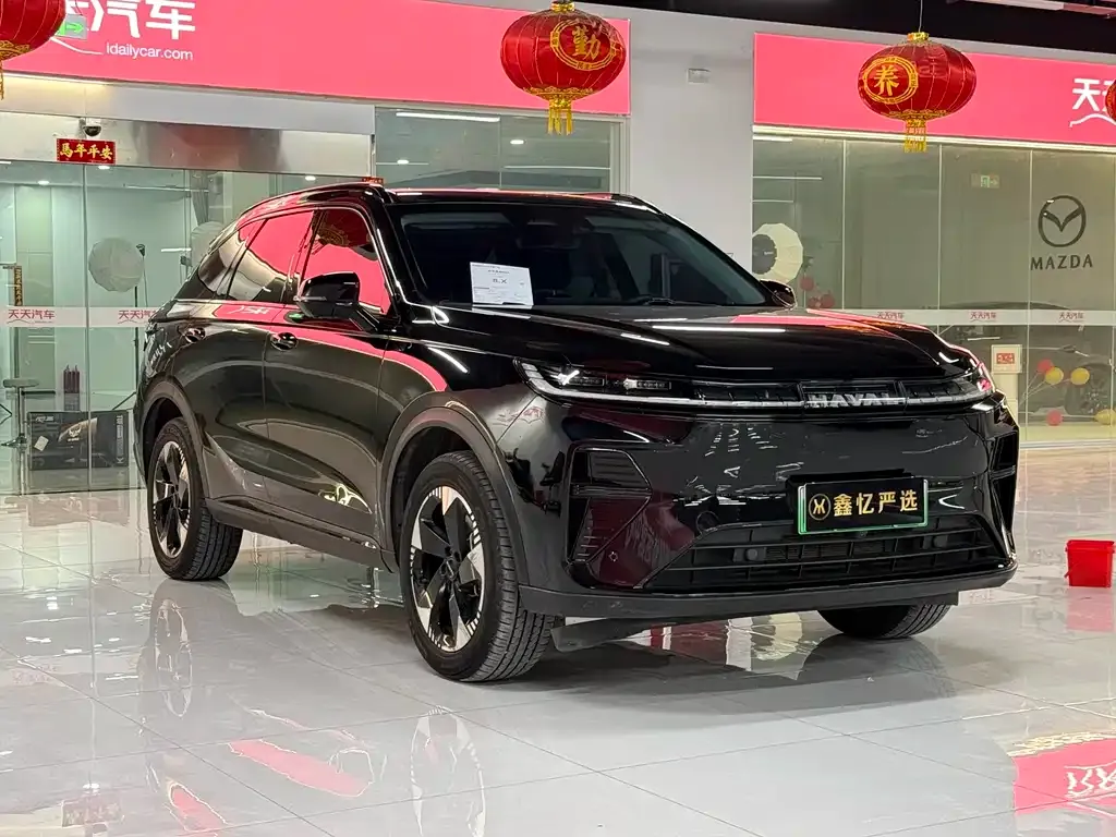 Haval Xiaolong MAX — фото 8