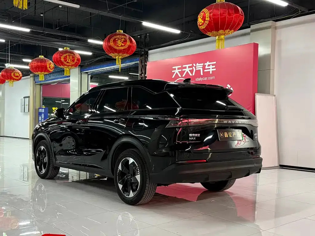 Haval Xiaolong MAX — фото 5