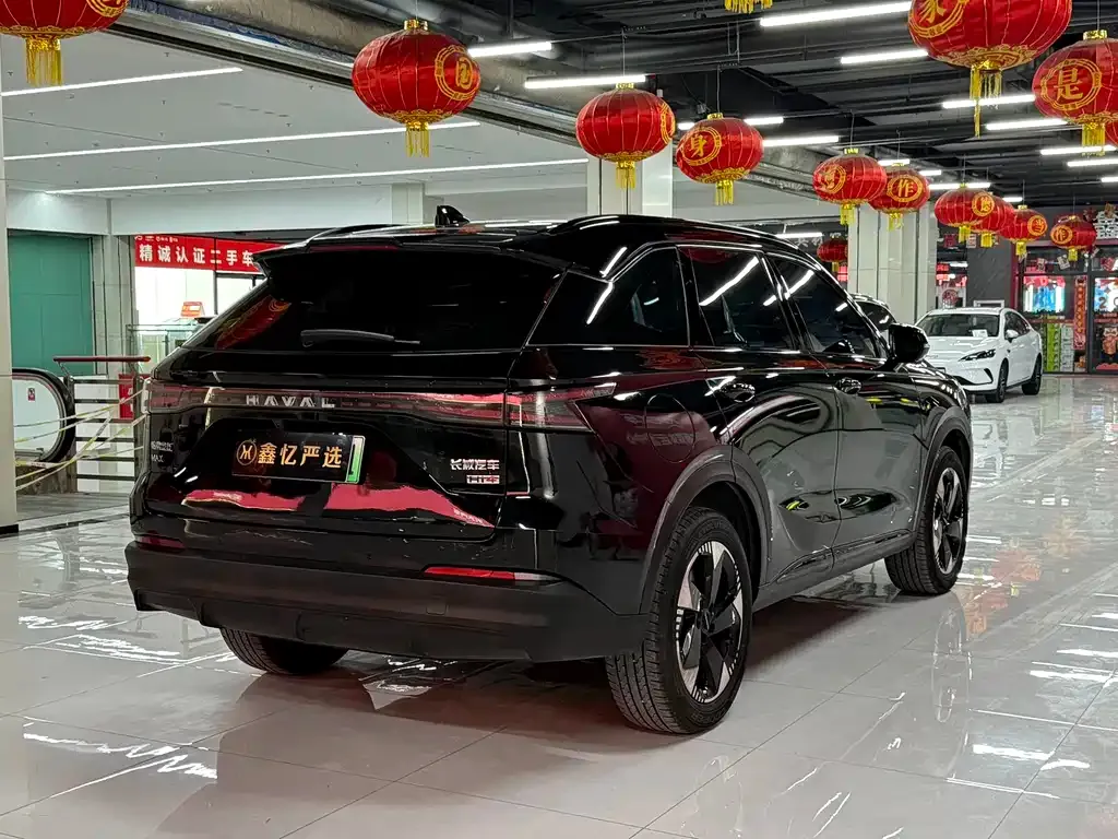 Haval Xiaolong MAX — фото 10