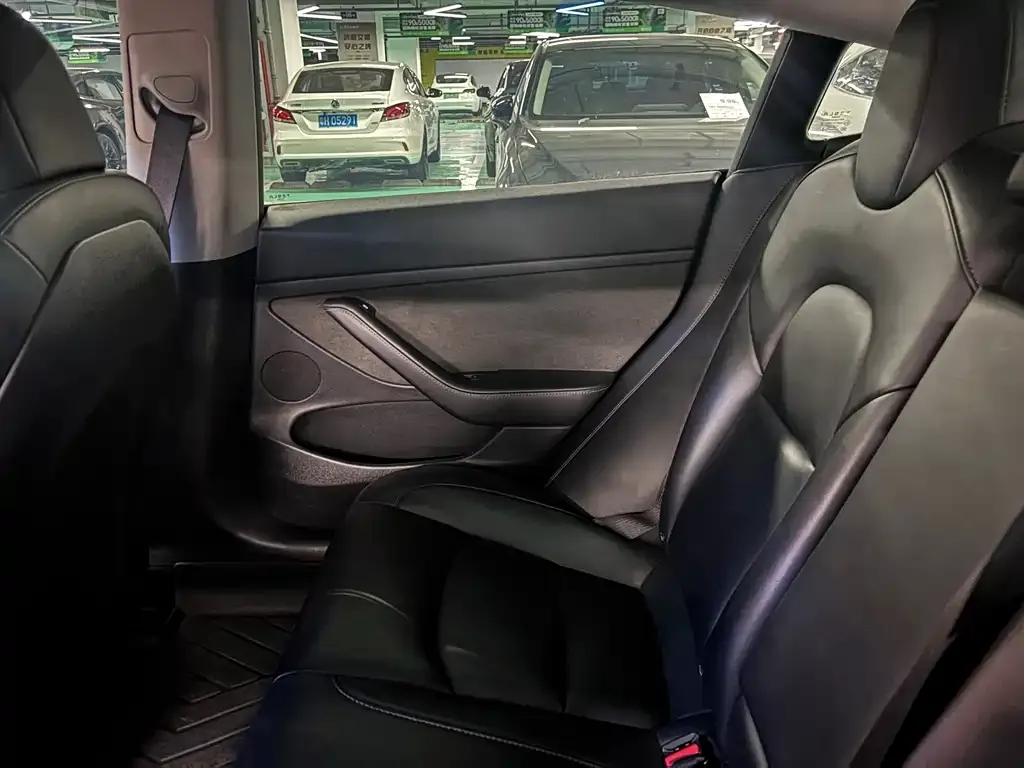 Tesla Model 3 2022 из CN, фото 7