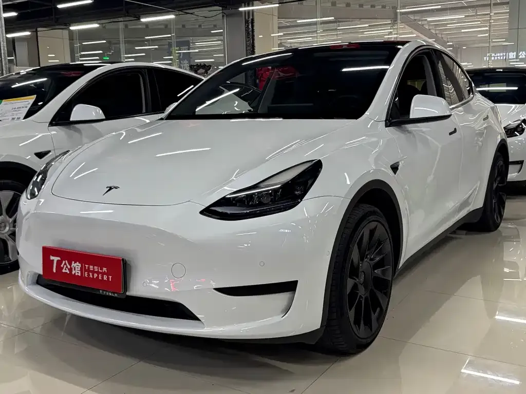 Tesla Model Y — фото 1