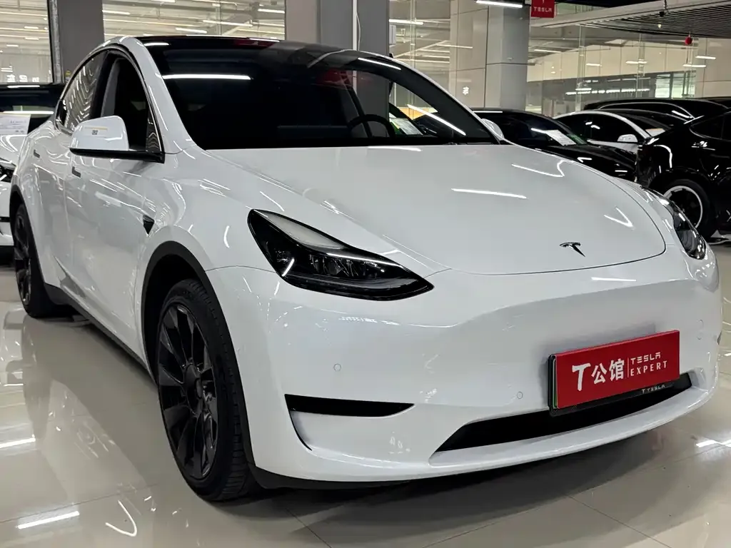 Tesla Model Y — фото 8