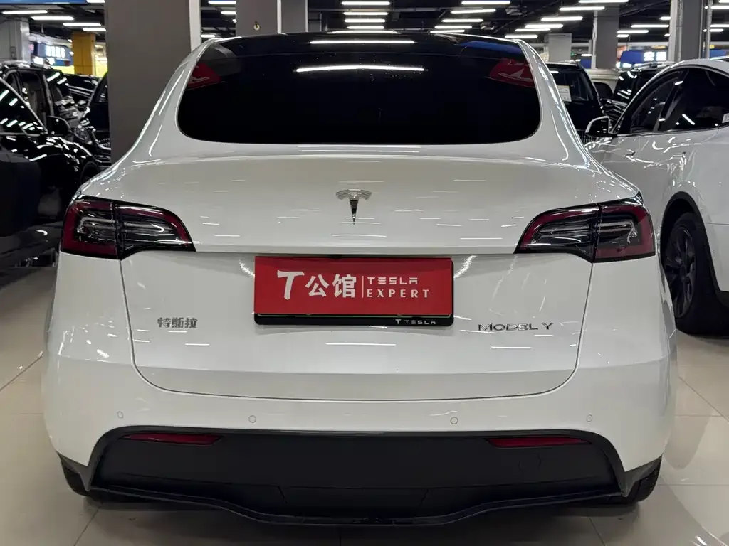 Tesla Model Y — фото 9