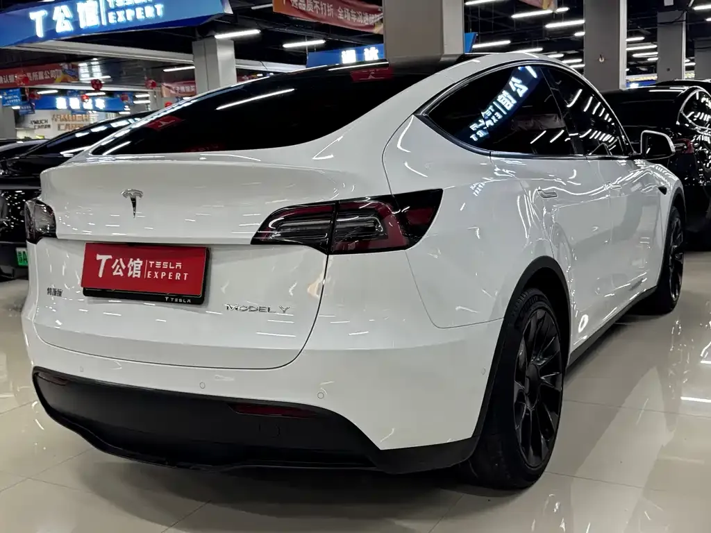 Tesla Model Y — фото 10