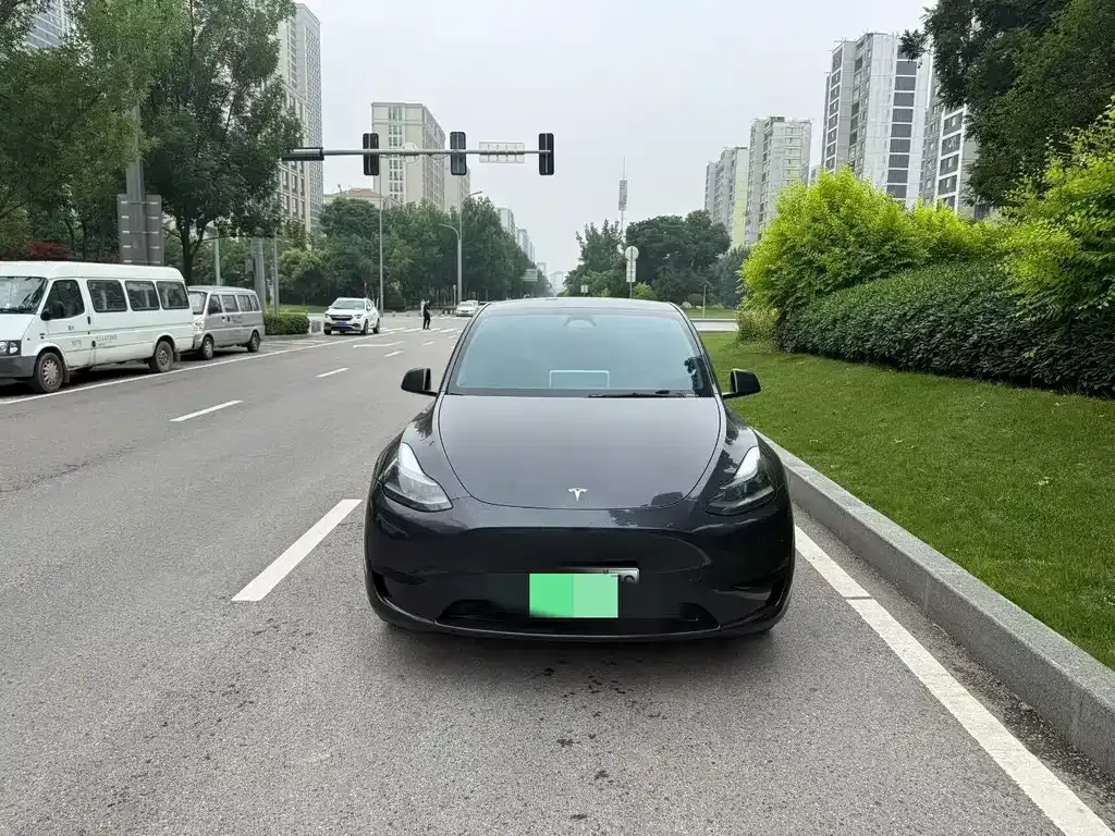 Tesla Model Y — фото 1