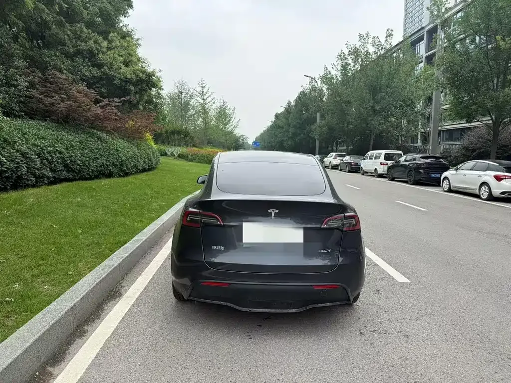 Tesla Model Y — фото 5