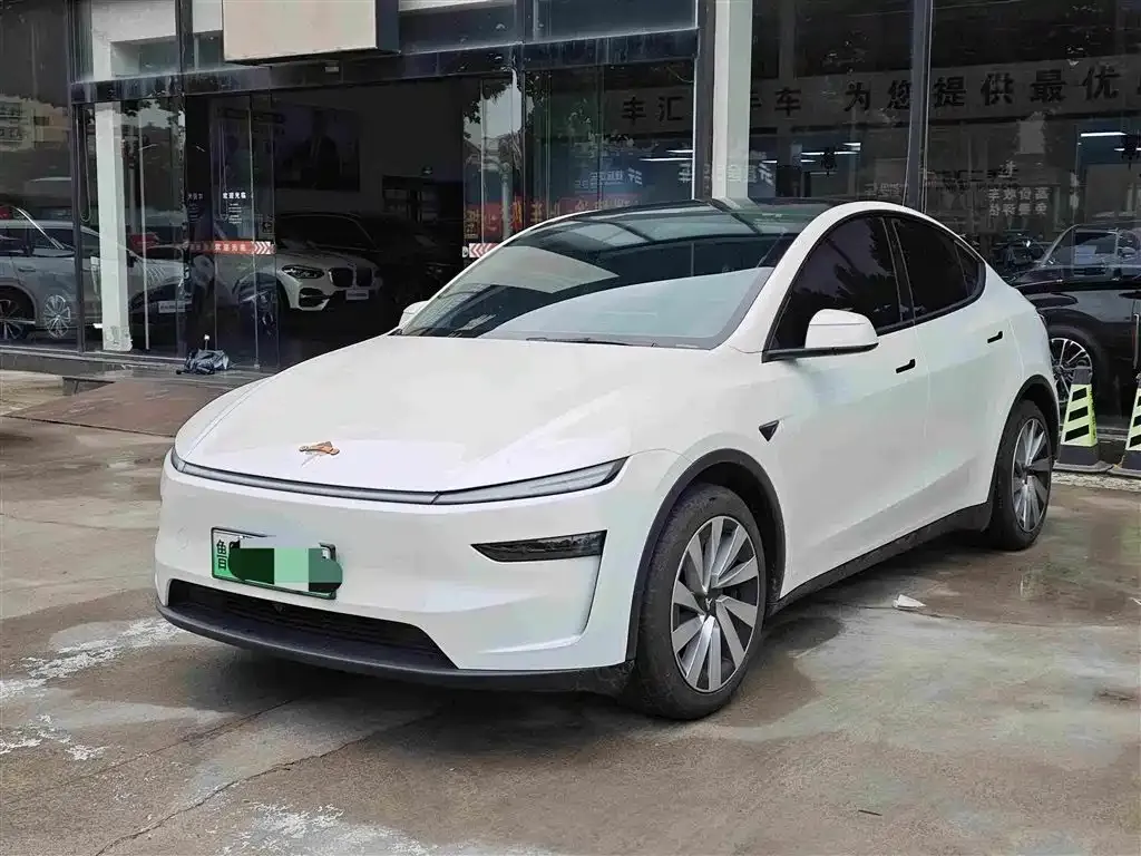 Tesla Model Y — фото 1