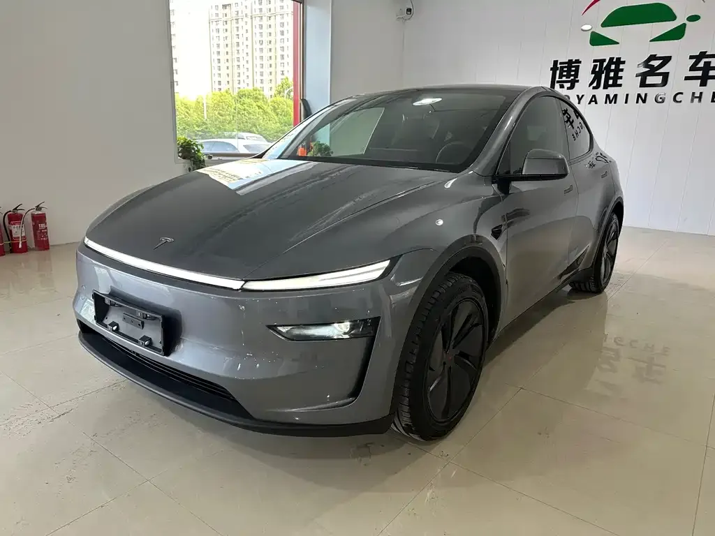 Tesla Model Y — фото 1