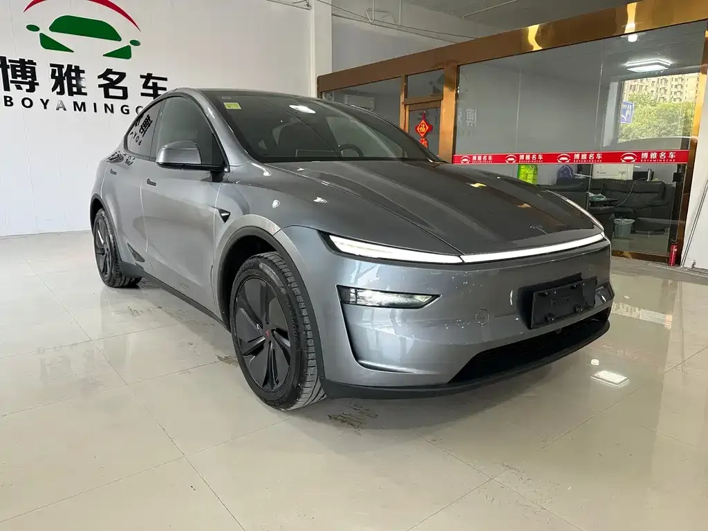 Tesla Model Y — фото 10
