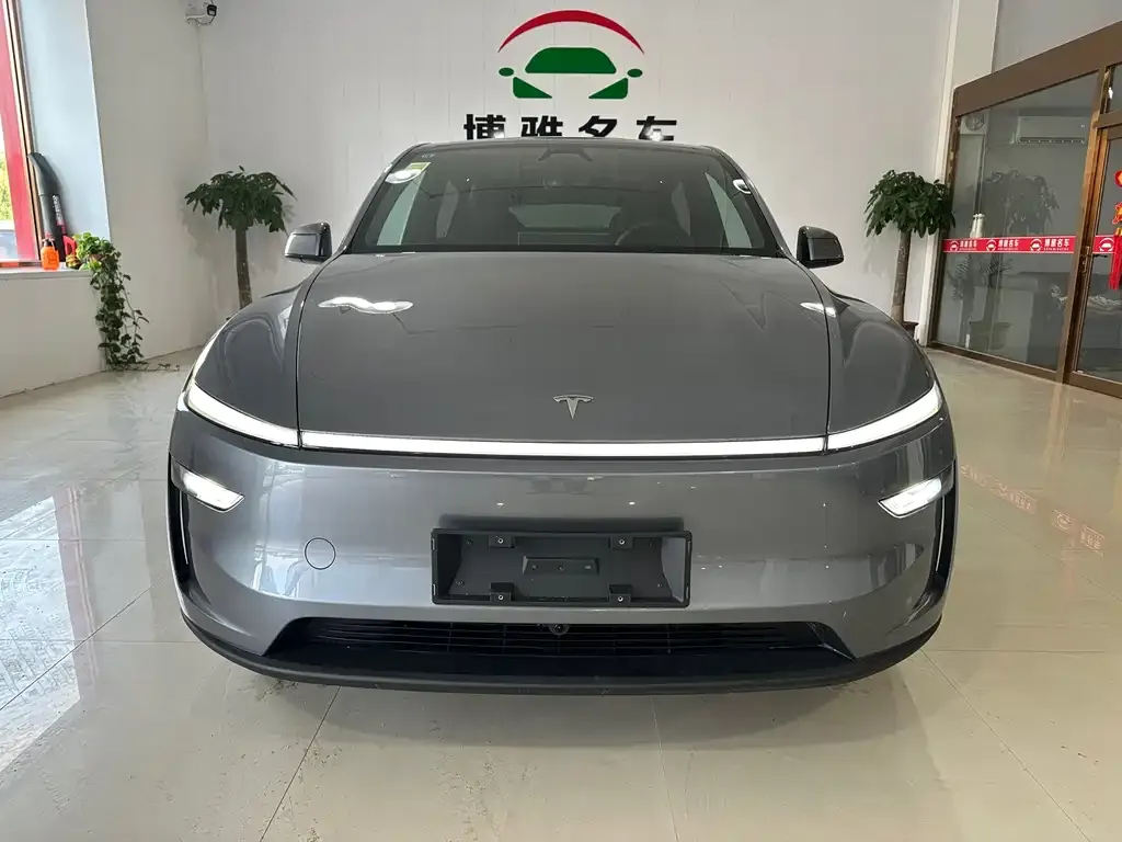 Tesla Model Y — фото 9
