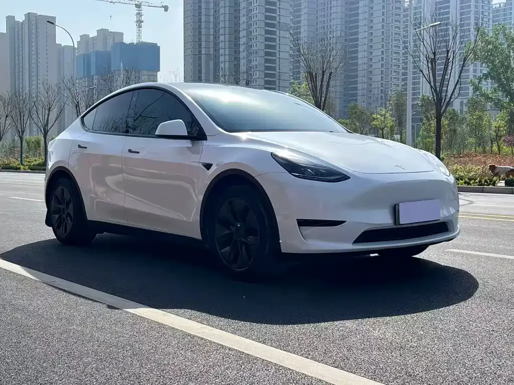 Tesla Model Y — фото 1