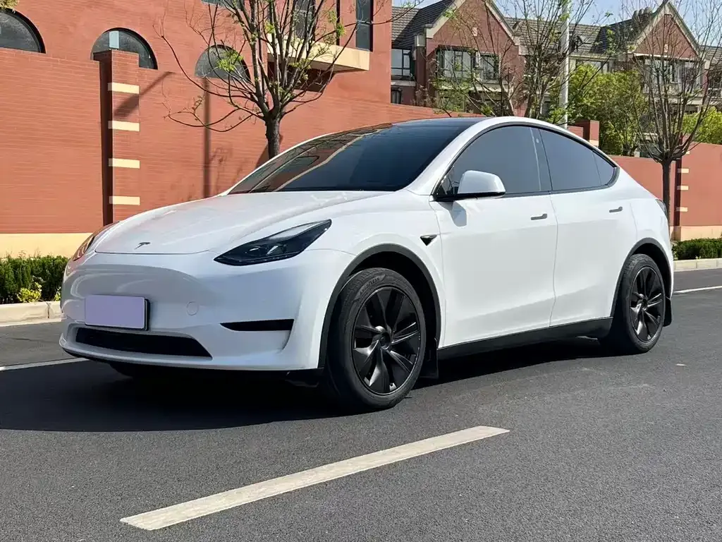 Tesla Model Y — фото 10