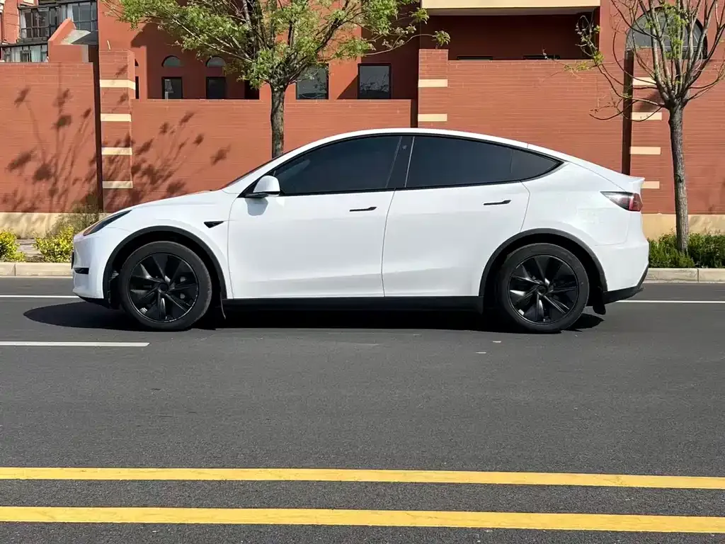 Tesla Model Y — фото 4