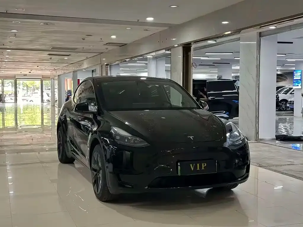 Tesla Model Y — фото 3