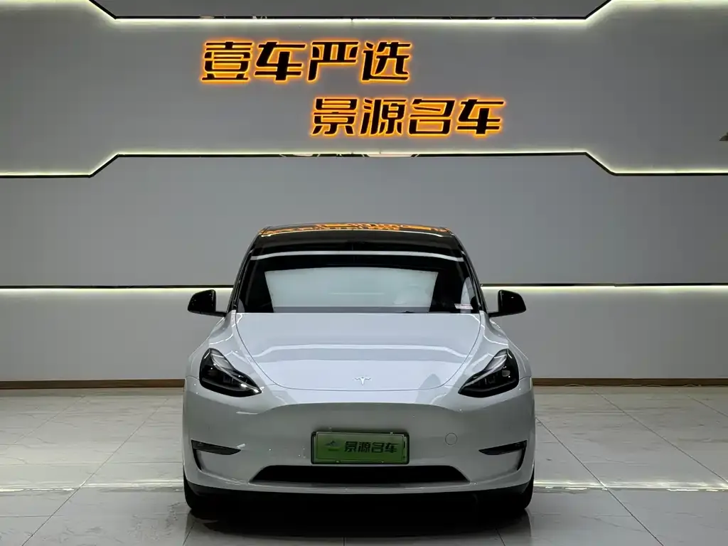 Tesla Model Y — фото 2