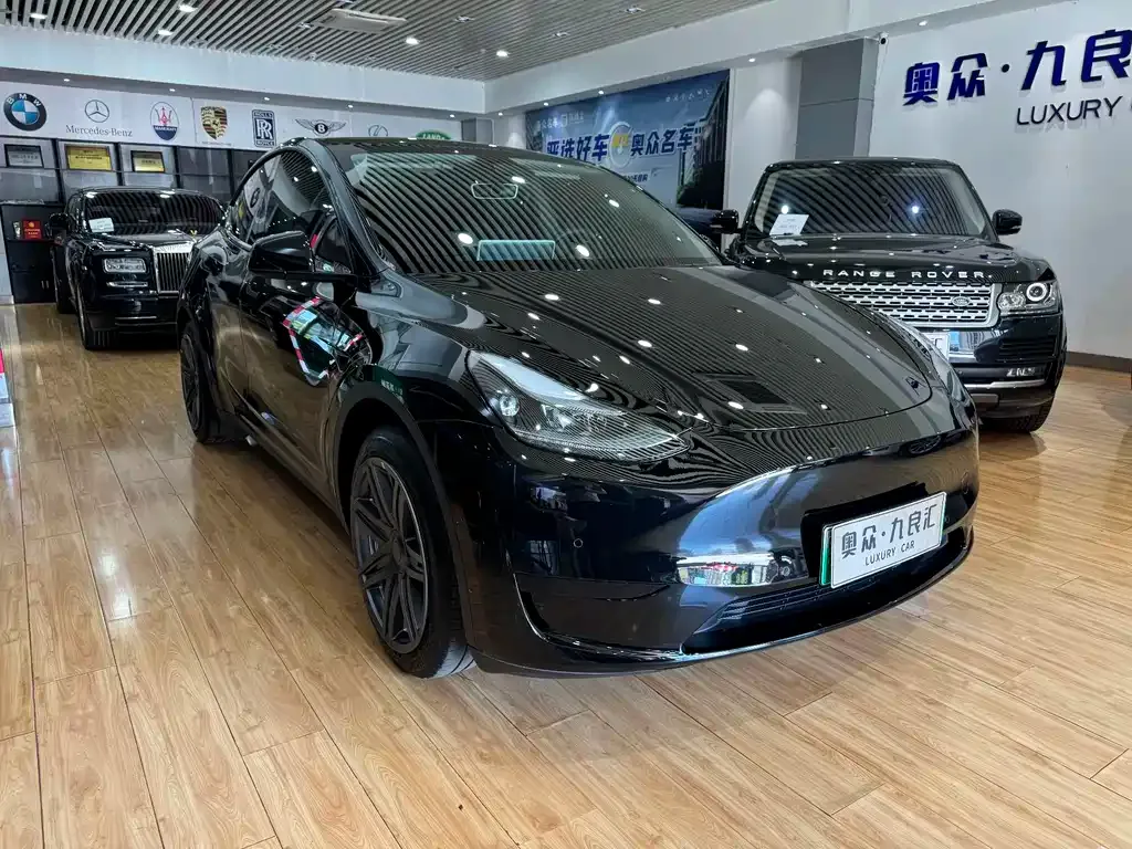 Tesla Model Y — фото 4