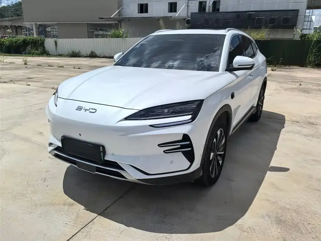 BYD PLUS New Energy — фото 1