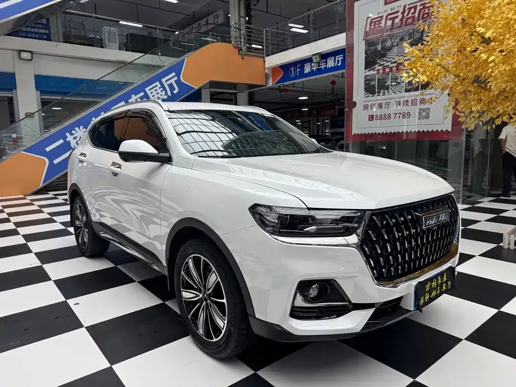 Haval H6 — фото 10