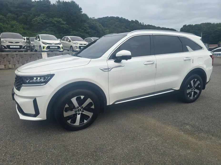 Kia Sorento — фото 9