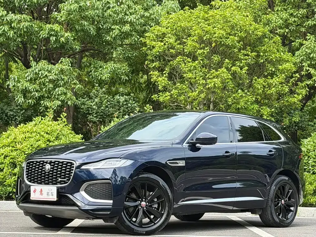 Jaguar F-PACE — фото 1