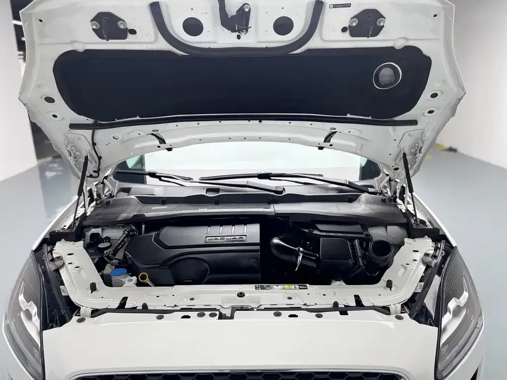 Jaguar E-PACE 2021 из CN, фото 6