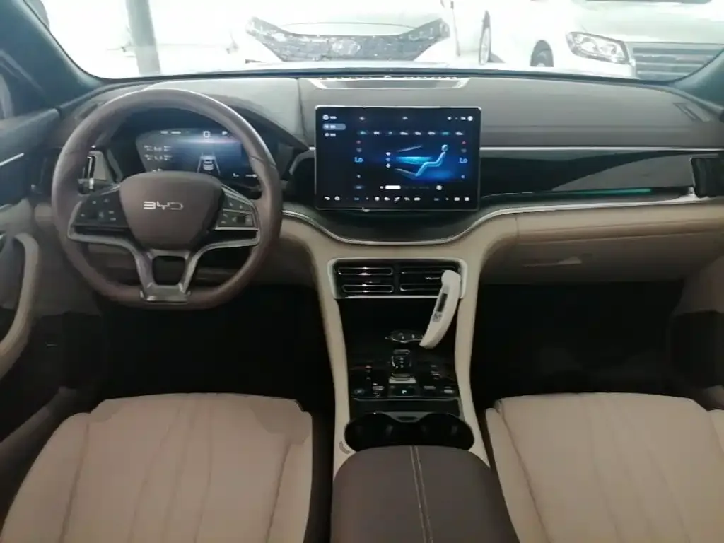 BYD PLUS New Energy 2024 из CN, фото 3