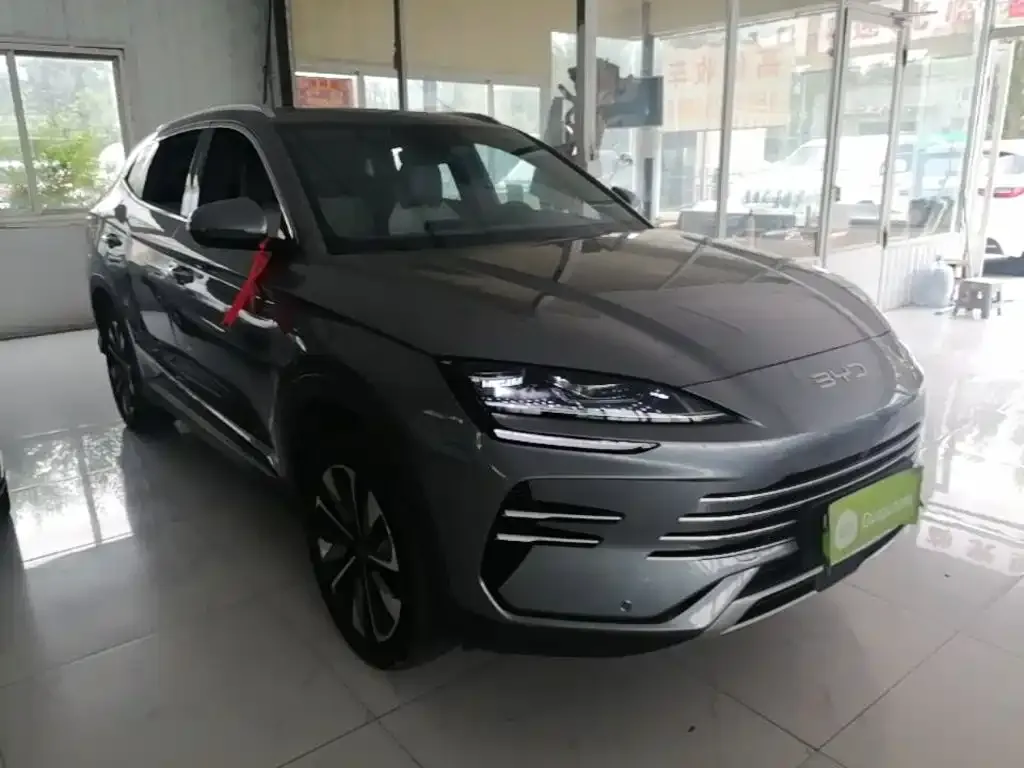 BYD PLUS New Energy 2024 из CN, фото 5