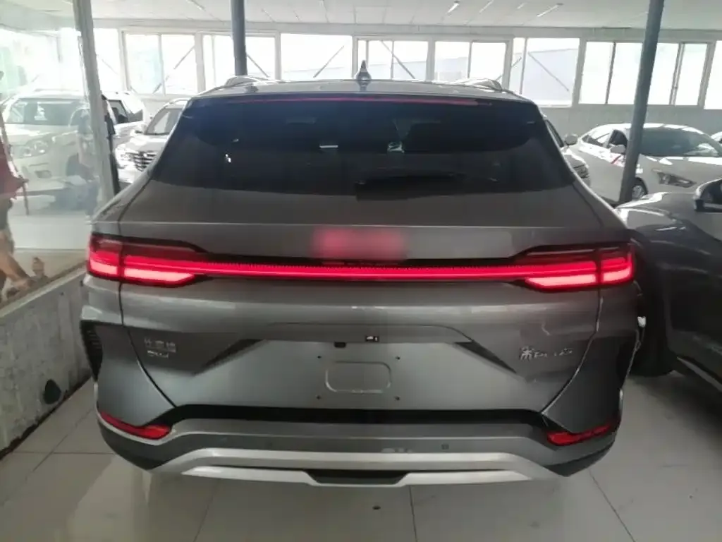 BYD PLUS New Energy 2024 из CN, фото 2