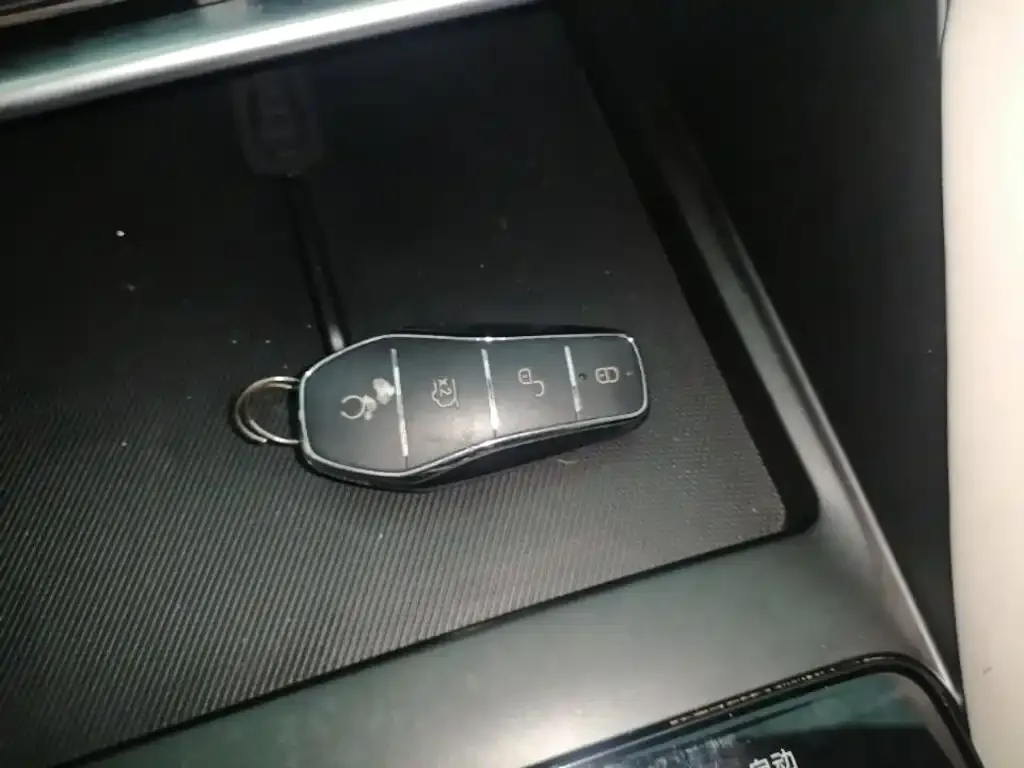 BYD PLUS New Energy 2024 из CN, фото 6