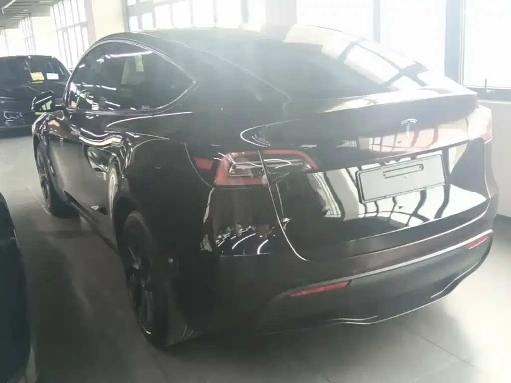 Tesla Model Y — фото 5