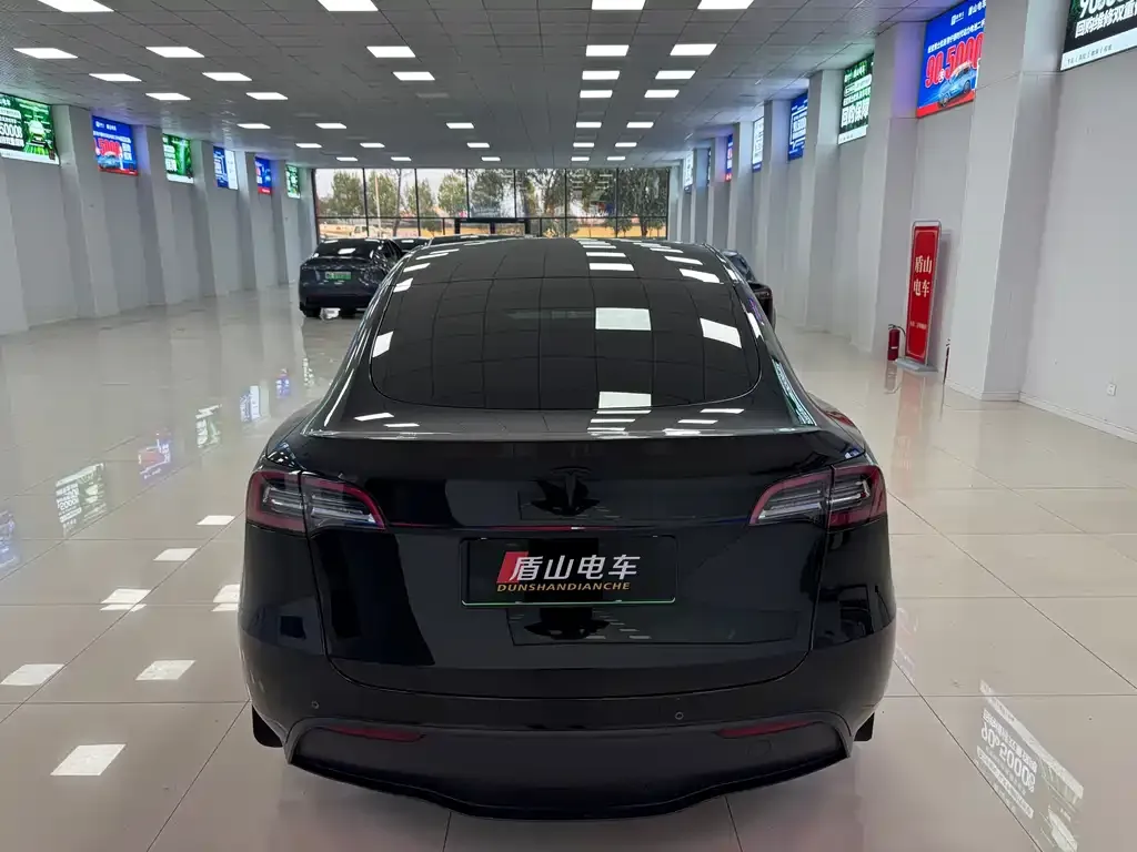 Tesla Model Y — фото 9