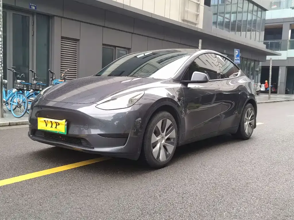 Tesla Model Y — фото 1