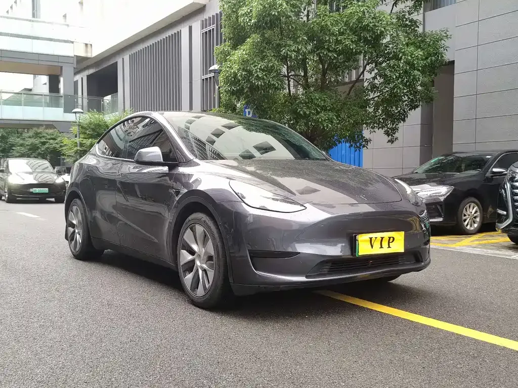 Tesla Model Y — фото 10