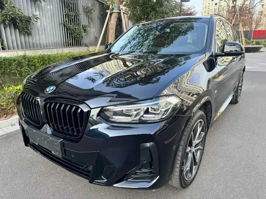 BMW X3 — фото 1