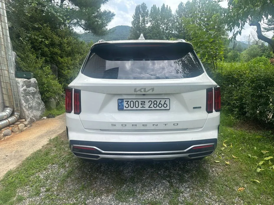 Kia Sorento — фото 10