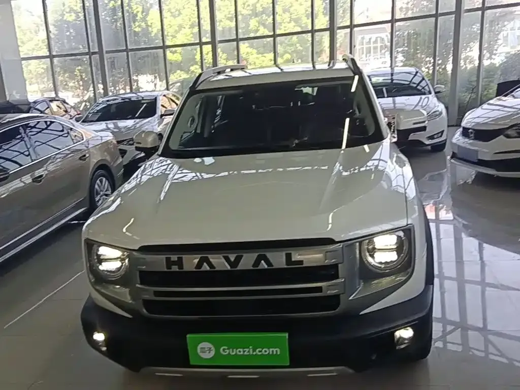 Haval Big Dog — фото 5