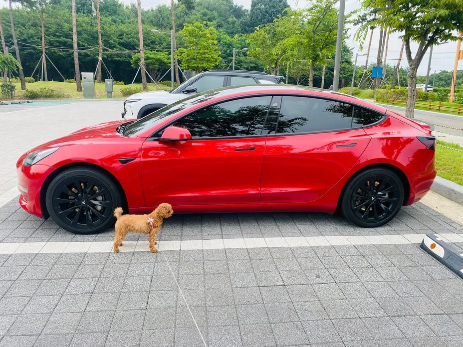 Tesla Model 3 — фото 1